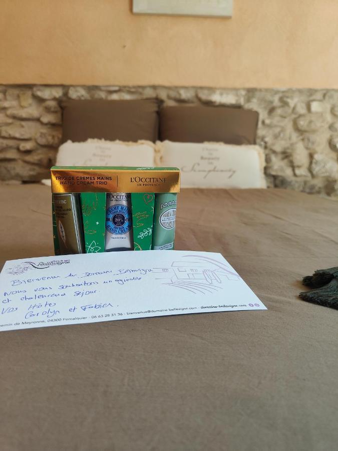Domaine Bellavigne Gites Et Spa Forcalquier Bagian luar foto